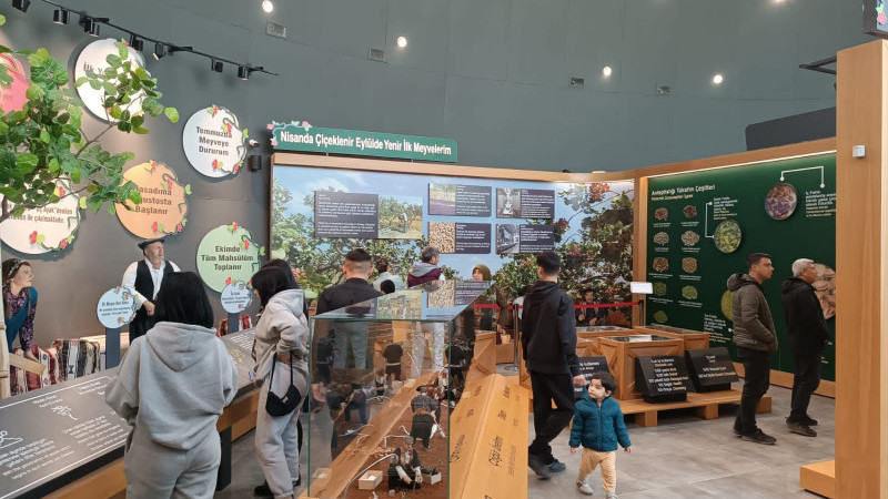 BÜYÜKŞEHİR’İN MÜZELERİ, 9 GÜNLÜK BAYRAM TATİLİ BOYUNCA 61 BİN ZİYARETÇİYİ AĞIRLADI